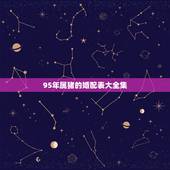 95年属猪的婚配表大全集，95年属猪最佳婚配属相