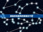 属鼠的和属狗的婚姻合不合 属鼠女的和属狗男的婚姻合不合