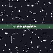 庚午戊寅壬寅庚午，生辰八字五行查询