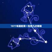 1977年属蛇男一生有几次婚姻，属蛇一生有几次婚姻