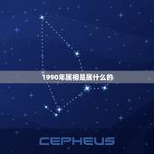 1990年属相是属什么的，90年阴历正月初六女属马和89年阴历十月二十