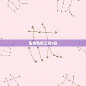 生肖兔的三合6合，兔的六6合是什么生肖