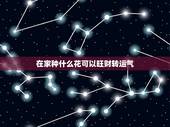 在家种什么花可以旺财转运气，十二生肖种什么植物能旺财