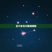 五六年五行属相婚配，属相婚配和五行婚配那个更准一点？请懂行的朋友赐教。