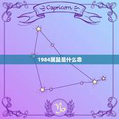 1984属鼠是什么命，1984年属鼠海中金命五行缺什么
