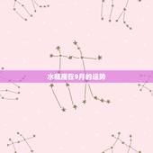 水瓶座在9月的运势，苏珊米勒2017年运势完整版水瓶座