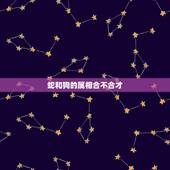 蛇和狗的属相合不合才，属蛇和属狗的合不合