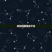 虎和鸡属相合不合，属鸡是属虎的贵人