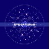 属羊的今天财运怎么样，1991年属羊今日运势