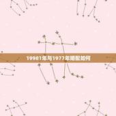 19981年与1977年婚配如何，1988年属龙的人与1977年属蛇女