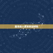 属羊的人养羊财运好吗，2022 年柱羊刃的财运