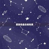 紫微命盘合婚免费，紫薇命盘免费解析，主要帮忙看下婚姻和事业