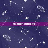 2022阴历11月是什么命，阴历11月23是什么命