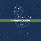 95属猪跟什么属相合财，属猪的和什么属相最合财