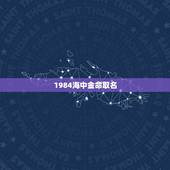 1984海中金命取名，属鼠海中金命起名用字