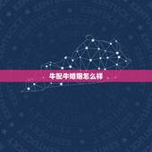 牛配牛婚姻怎么样？会幸福吗？属牛的的人和属牛的人在一起会幸福嘛