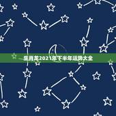 生肖龙2021年下半年运势大全，88年属龙人在2021年的全年运势？