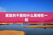 属鼠的不能和什么属相在一起，属鼠的和属兔的人，真的不能在一起吗？