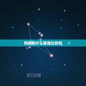 狗的和什么属相比较好，狗和什么属相配最好