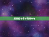 属鼠的本命年是哪一年，2022 鼠年本命年戴什么