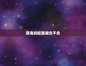 属兔和蛇属相合不合，兔和马属相合不合