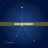 北京小西天闫京简介，北京闫京是什么人物？