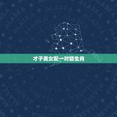 才子美女配一对猜生肖，才子和佳人-一对是什么意思，在12生肖里面属哪生
