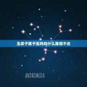 玉皮子属于玉吗和什么属相不合，那些属相不适合戴玉 什么属相不能戴玉貔貅