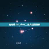 麦玲玲2022年十二生肖运势详解，董易奇2022年12生肖运势解析