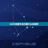 2022年属牛五行属什么比较好，2022年属牛