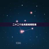 二十二个生肖属相婚配表，属相婚配表：属狗的和什么属相最相配
