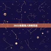 2022年属兔人的桃花运，属兔2022 年运势及运程