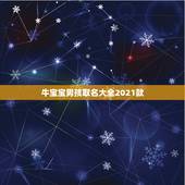 牛宝宝男孩取名大全2021款 牛宝宝取乳名大全