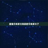 属兔今年多大年龄的今年多大了，属兔今年都多大？