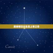 属猪哪日出生是上等之命，属猪忌讳几月出生