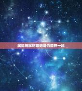属鼠与属蛇婚姻是否能在一起，属鼠人的婚姻与命运