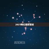 2021网红爆款壁纸，2021最火网红词是什么？