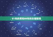 81年的男和88年的女婚配吗，女88年与男81年合适婚配吗