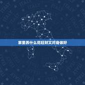 家里养什么花旺财又对身体好，家里种什么植物风水好 十二生肖家里养什么植