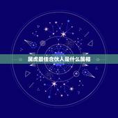 属虎最佳合伙人是什么属相，1974年生属虎人最好的合作伙伴，是何属相？