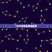 1999年属兔婚姻算命，什么命1999年属兔的是什么命