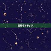 属蛇今年多少岁，属兔的今年多大