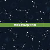 免费算生辰八字合不合，算两个人 生辰八字合不合