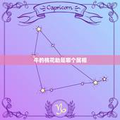 牛的桃花劫是哪个属相，十二生肖，易犯桃花劫的动物，是什么动物？