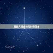 属鼠人适合的招财微信名，72属鼠微信旺财网名自强不息好不好？