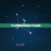 牛女和男鼠的属相合不合结婚，属牛和属鼠相配吗？结婚后合吗？
