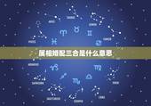 属相婚配三合是什么意思，狗三合是什么