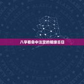 八字看命中注定的姻缘壬日，请帮忙看下两人的生辰八字看姻缘