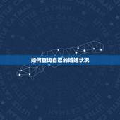 如何查询自己的婚姻状况， 上能查到婚姻状态吗