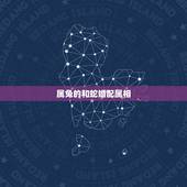 属兔的和蛇婚配属相，属兔和属蛇相配吗？